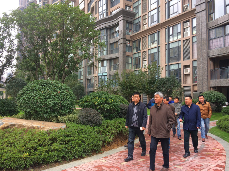 合肥市園林局汪副局長(zhǎng)一行 蒞臨華地公館實(shí)地考察