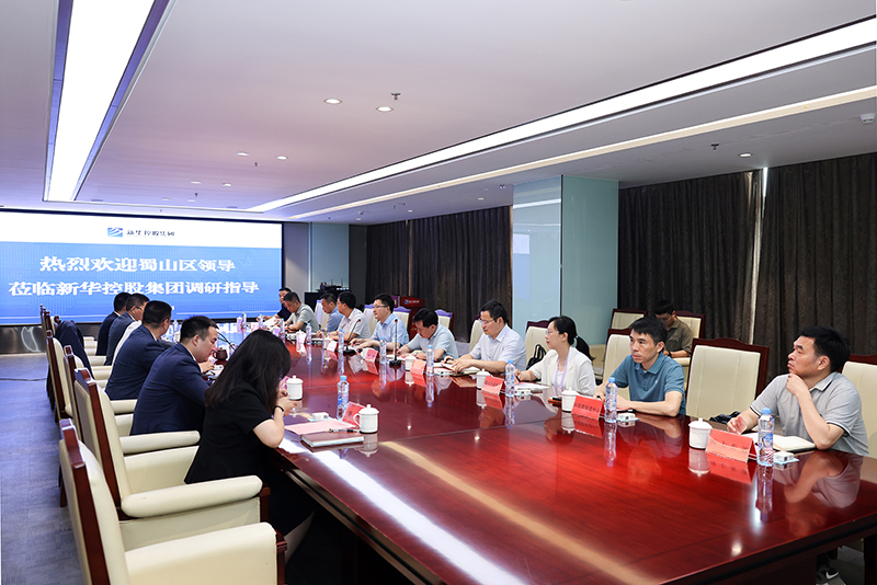 合肥市蜀山區(qū)委副書記、區(qū)長楊森一行深入新華控股集團調(diào)研指導(dǎo)